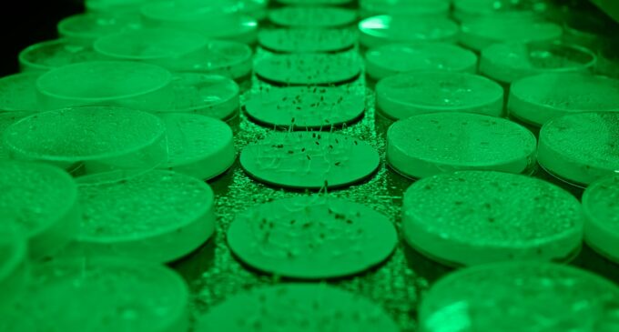 Netherlands Has Used Advances Technology and Robotics to Become a Global Exporter